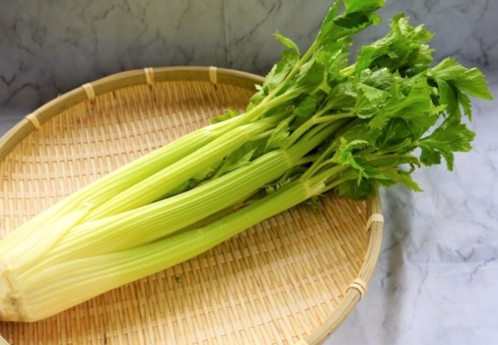 芹菜品種 芹菜品種