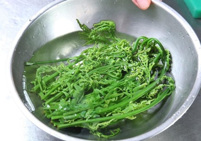 過貓龍鬚菜