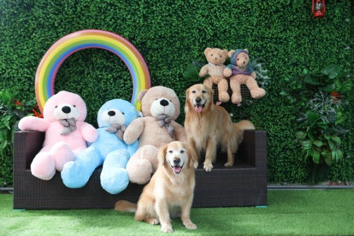 花蓮帶寵物室內場所