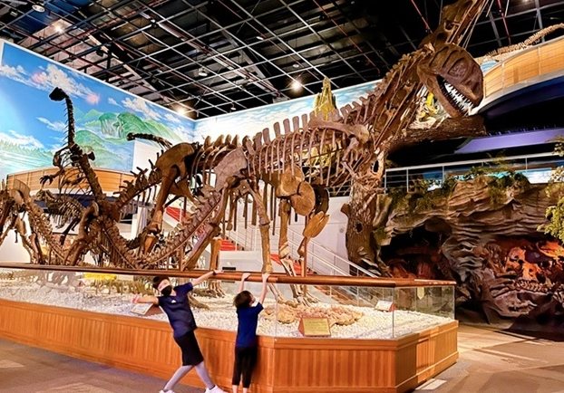 花蓮帶寵物室內場所