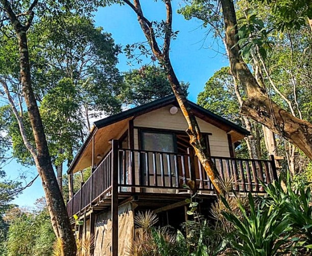 小木屋選擇技巧